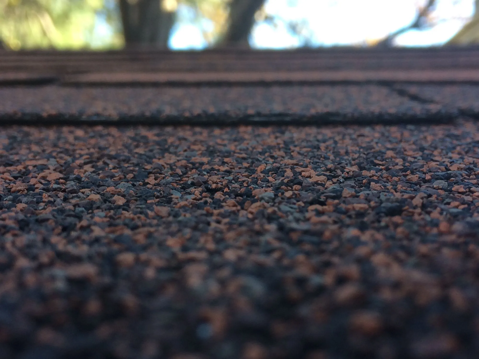 A close view of asphalt shingles on a roof